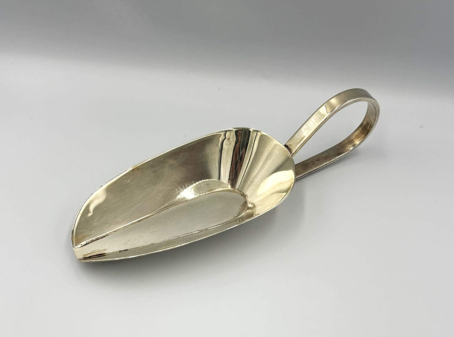 Silver metal scoop with looped handle.